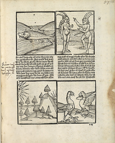 Bild vergrößern