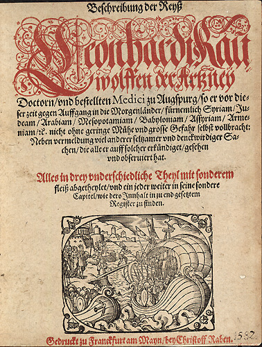 Bild vergrößern